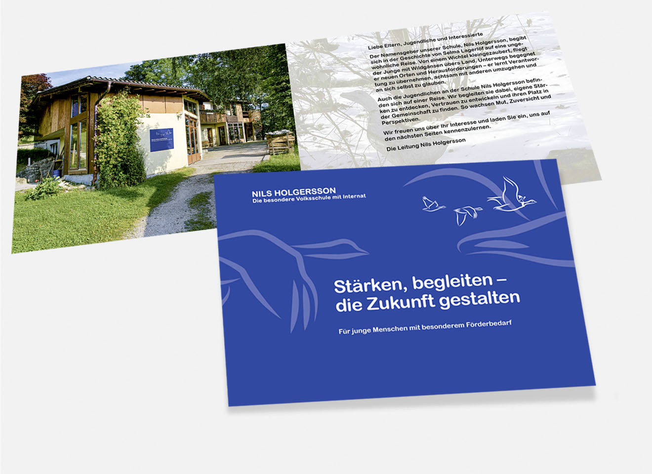 CI/Brochure